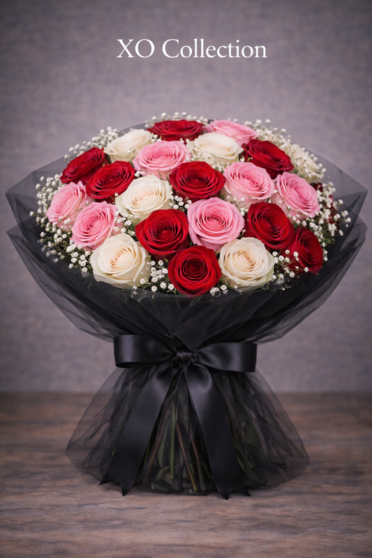XO Collection